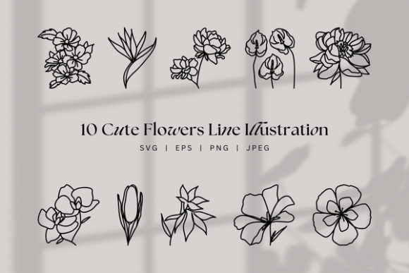 Download Cute Floral Line Art, Botanical Flowers - Premium Resources