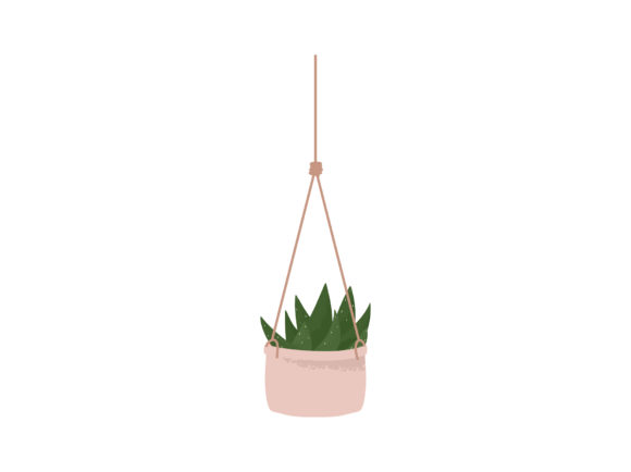 Download House Plant Aloe Hanging Macrame Planter - House plant Collection