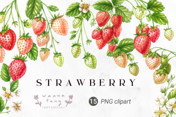 Download Strawberry Fruit Watercolor Clipart, PNG - Png Collection