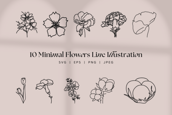 Download Clean Minimal Botanical Floral Lineart - Premium Resources