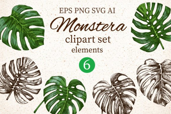Download Monstera Clipart Set Elements - Elements Collection