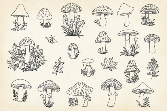 Download Hand-drawn Mushrooms Minimalist Art Set - Premium Resources