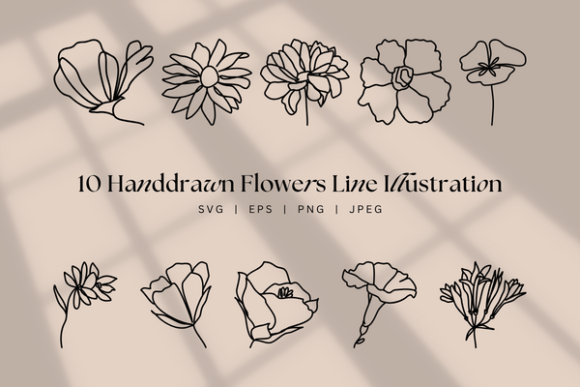 Download Handdrawn Flower Line Art, Floral Boho - Premium Resources